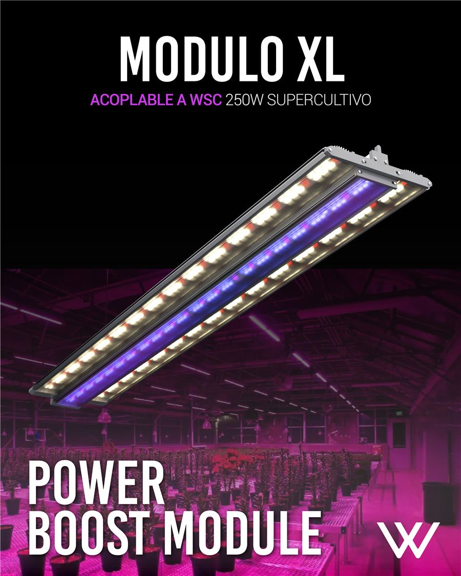 Luces de cultivo LED WSC Módulo XL